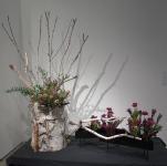 03 - Mieko Watanabe -- Canadian Museum of Nature.jpg 4.4K